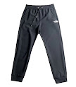 The North Face Pants North Face rep