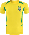 2002 World Cup Brazil Home Stadium rep