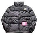 The North Face X GUCCI Jacket North Face rep