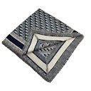 Dior scarf Dior rep