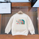 The North Face Children's Hoodie North Face rep