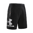 Under Armour Shorts rep