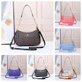 Coach Handbags rep