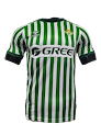 2526 Season Real Betis Special Edition Jersey Player Version rep
