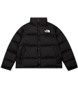 The North Face Down Jacket North Face rep
