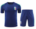 2425 Italy Training clothes suit Short sleeve Fan version rep