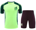2425 Mexico Training clothes suit Short sleeve Fan version rep