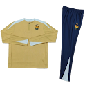 2425 France golden Training suit set Player version rep