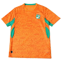 2627 Ivory Coast home Fan version rep