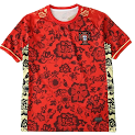 2425 season Portugal Concept version Fan version rep