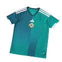 2026 FIFA World Cup Northern Ireland home Fan version rep