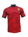 Portugal Special Edition Jersey Player Version rep