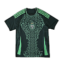 2425 season Algeria away Player version rep