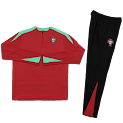 2425 Portugal Training suit set Player version rep