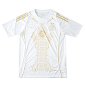 2425 season Algeria Concept version Fan version rep