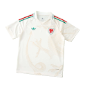 2026 FIFA World Cup Wales away Fan version rep