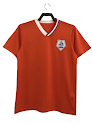 2008 season Netherlands Home retro Fan version rep