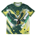 2425 season Brazil Concept version Fan version rep