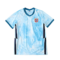 2021 season Norway away retro Fan version rep