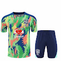 2526 season Brazil Training clothes suit Short sleeve Fan version rep
