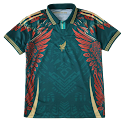 2526 season Mexico Concept version Fan version rep