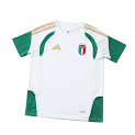 2026 FIFA World Cup Italy training suit Fan version rep