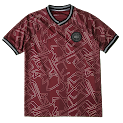 2425 season Denmark home Fan version rep