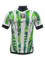 2526 Season Nigeria Home Player Edition Jersey rep