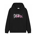 Dior Hoodie Dior rep
