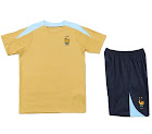 2425 France Training clothes suit Short sleeve Fan version rep