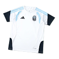 2026 FIFA World Cup Argentina training suit Fan version rep