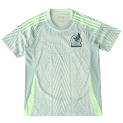 2024 season Mexico away Fan version rep