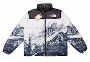 The North Face Quilted Jacket North Face rep