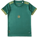 2526 season Mexico Concept version Women's Shirt rep