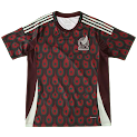 2024 season Mexico home Fan version rep