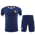 2526 season Portugal Training clothes suit Short sleeve Fan version rep