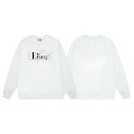 Dior Hoodie Dior rep