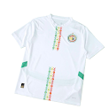 2026 season Senegal home Fan version rep