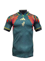 Mexico Special Edition Jersey Player Version rep