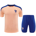 2526 season France Training clothes suit Short sleeve Fan version rep