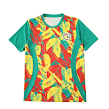 2526 season Senegal Training clothes Fan version rep