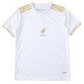 2526 season Mexico Concept version Fan version rep