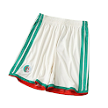 2026 FIFA World Cup Algeria home shorts rep
