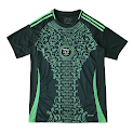 2425 season Algeria away Fan version rep