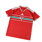 2026 WALES FAN VERSION JERSEY rep