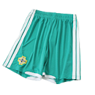 2026 NORTHERN IRELAND PLAYER VERSION SHORTS rep