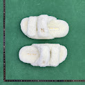 Miu Miu rep