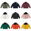 The North Face Quilted Jacket North Face rep