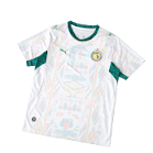 2026 SENEGAL FAN VERSION JERSEY rep