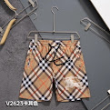 Burberry Shorts40* colorways Burberry rep